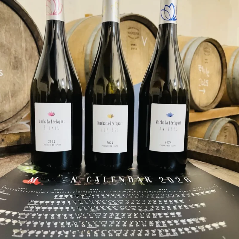 Cupo Basic Febrero 2024