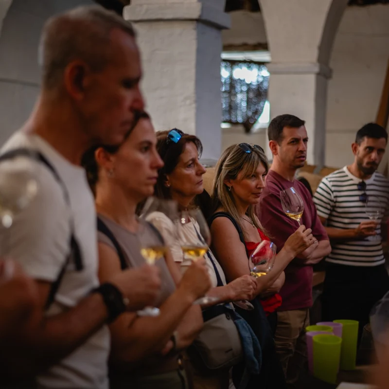Visita bodega 4 personas