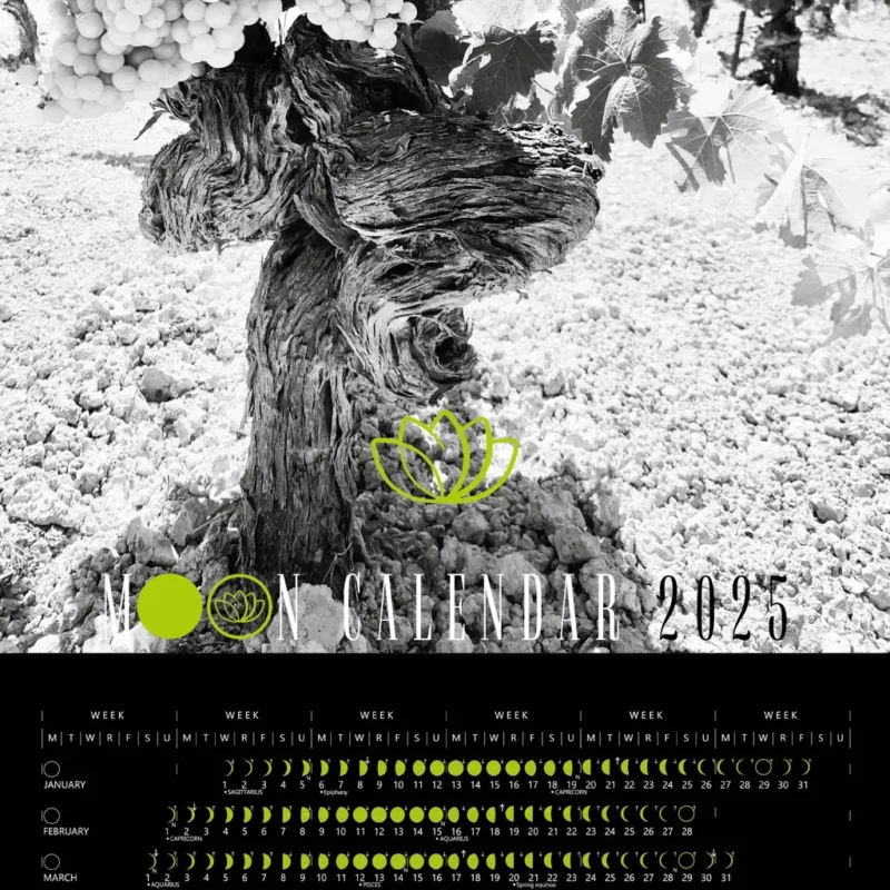 Calendario lunar 2025