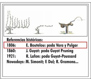 Referencias históricas