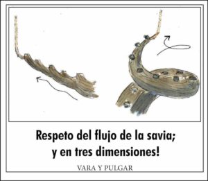 Respeto del flujo de la savia