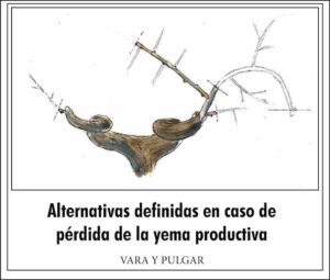 Alternativas en caso de perdida de la yema