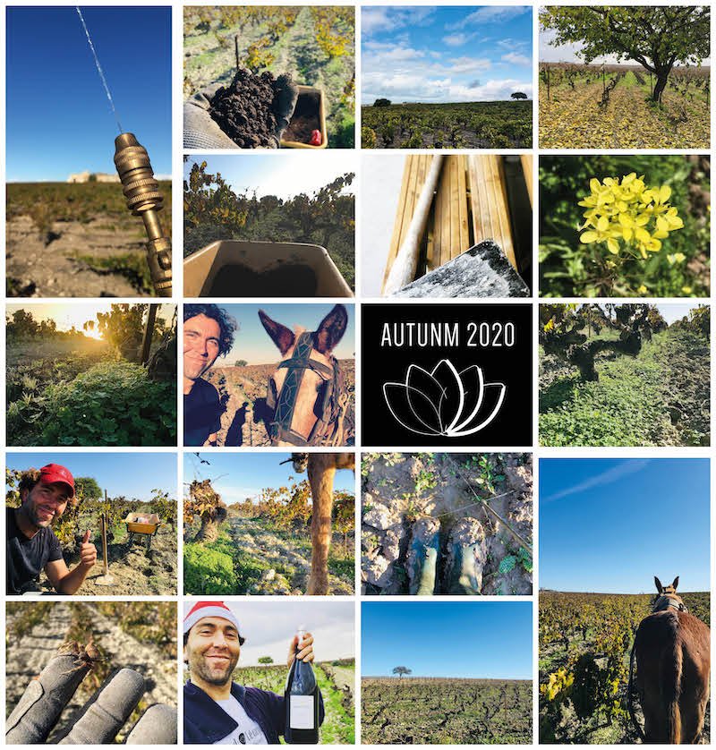 Newsletter Autumn 2020.