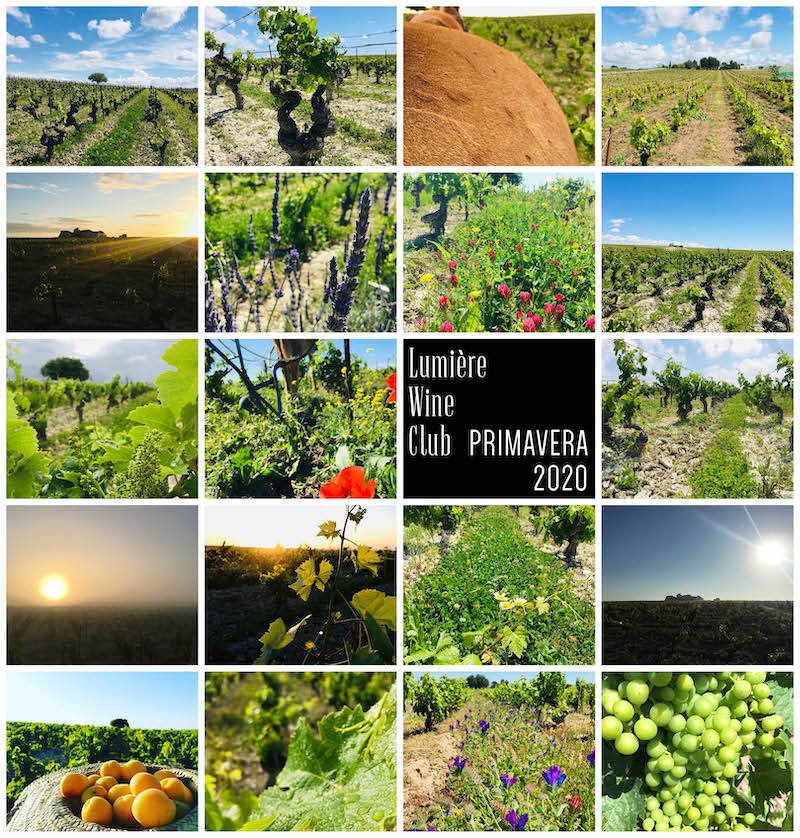 Newsletter Spring 2020